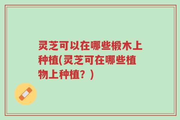 灵芝可以在哪些椴木上种植(灵芝可在哪些植物上种植?)-第1张图片-超越 灵芝可以在哪些椴木上种植(灵芝可在哪些植物上种植?)-第1张图片-超越