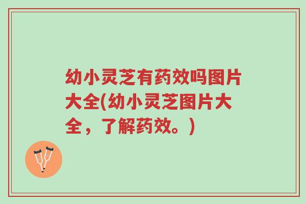 幼小灵芝有药效吗图片大全(幼小灵芝图片大全，了解药效。)-第1张图片-超越