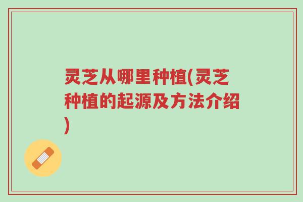 灵芝从哪里种植(灵芝种植的起源及方法介绍)-第1张图片-超越 灵芝从哪里种植(灵芝种植的起源及方法介绍)-第1张图片-超越