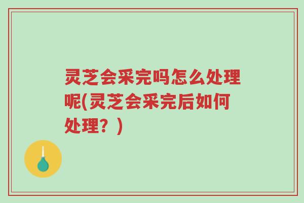 灵芝会采完吗怎么处理呢(灵芝会采完后如何处理?)-第1张图片-超越 灵芝会采完吗怎么处理呢(灵芝会采完后如何处理?)-第1张图片-超越