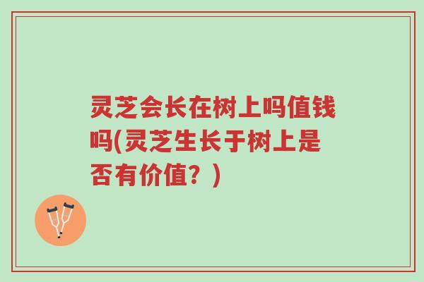 灵芝会长在树上吗值钱吗(灵芝生长于树上是否有价值?)-第1张图片-超越 灵芝会长在树上吗值钱吗(灵芝生长于树上是否有价值?)-第1张图片-超越