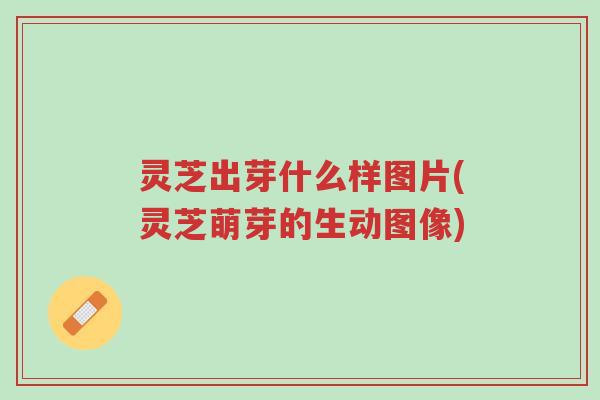 灵芝出芽什么样图片(灵芝萌芽的生动图像)-第1张图片-超越 灵芝出芽什么样图片(灵芝萌芽的生动图像)-第1张图片-超越