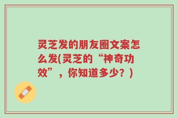 灵芝发的朋友圈文案怎么发(灵芝的“神奇功效”,你知道多少?)-第1张图片-超越 灵芝发的朋友圈文案怎么发(灵芝的“神奇功效”,你知道多少?)-第1张图片-超越