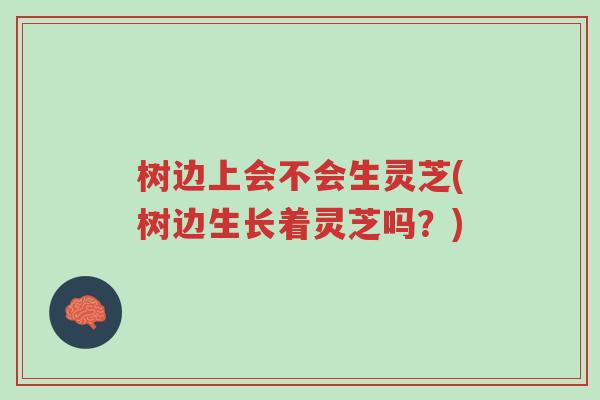树边上会不会生灵芝(树边生长着灵芝吗?)-第1张图片-超越 树边上会不会生灵芝(树边生长着灵芝吗?)-第1张图片-超越