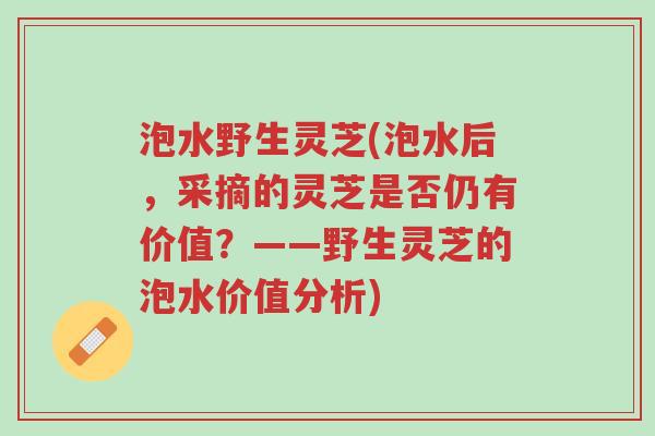 泡水野生灵芝(泡水后,采摘的灵芝是否仍有价值?——野生灵芝的泡水价值分析)-第1张图片-超越 泡水野生灵芝(泡水后,采摘的灵芝是否仍有价值?——野生灵芝的泡水价值分析)-第1张图片-超越