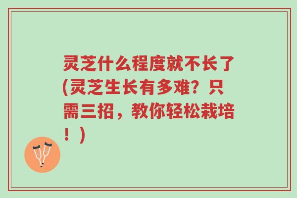 灵芝什么程度就不长了(灵芝生长有多难?只需三招,教你轻松栽培!)-第1张图片-超越 灵芝什么程度就不长了(灵芝生长有多难?只需三招,教你轻松栽培!)-第1张图片-超越