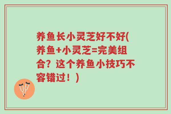 养鱼长小灵芝好不好(养鱼+小灵芝=完美组合?这个养鱼小技巧不容错过!)-第1张图片-超越 养鱼长小灵芝好不好(养鱼+小灵芝=完美组合?这个养鱼小技巧不容错过!)-第1张图片-超越