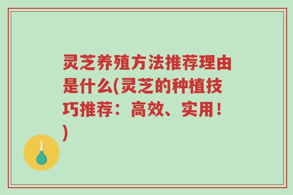 灵芝养殖方法推荐理由是什么(灵芝的种植技巧推荐:高效、实用!)-第1张图片-超越 灵芝养殖方法推荐理由是什么(灵芝的种植技巧推荐:高效、实用!)-第1张图片-超越