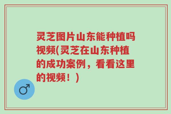 灵芝图片山东能种植吗视频(灵芝在山东种植的成功案例,看看这里的视频!)-第1张图片-超越 灵芝图片山东能种植吗视频(灵芝在山东种植的成功案例,看看这里的视频!)-第1张图片-超越