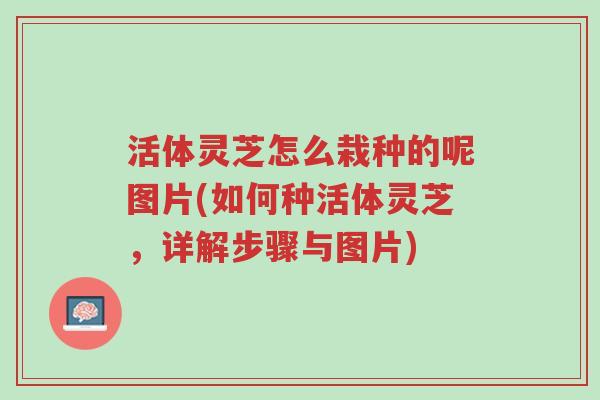 活体灵芝怎么栽种的呢图片(如何种活体灵芝,详解步骤与图片)-第1张图片-超越 活体灵芝怎么栽种的呢图片(如何种活体灵芝,详解步骤与图片)-第1张图片-超越