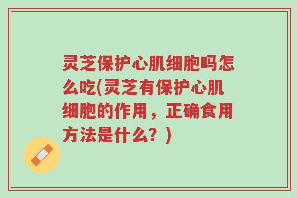 灵芝保护心肌细胞吗怎么吃(灵芝有保护心肌细胞的作用，正确食用方法是什么？)-第1张图片-超越