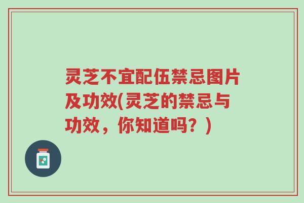 灵芝不宜配伍禁忌图片及功效(灵芝的禁忌与功效,你知道吗?)-第1张图片-超越 灵芝不宜配伍禁忌图片及功效(灵芝的禁忌与功效,你知道吗?)-第1张图片-超越
