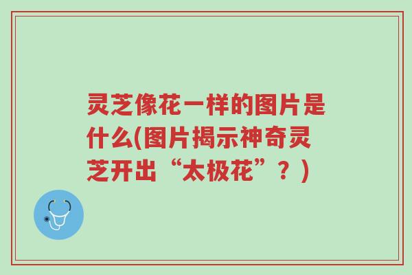 灵芝像花一样的图片是什么(图片揭示神奇灵芝开出“太极花”?)-第1张图片-超越 灵芝像花一样的图片是什么(图片揭示神奇灵芝开出“太极花”?)-第1张图片-超越
