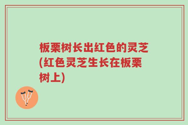 板栗树长出红色的灵芝(红色灵芝生长在板栗树上)-第1张图片-超越