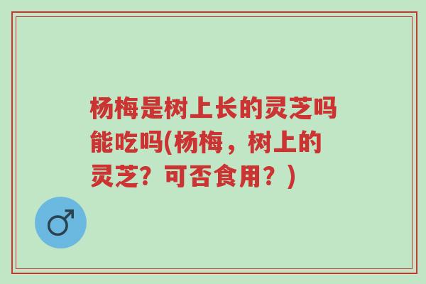 杨梅是树上长的灵芝吗能吃吗(杨梅,树上的灵芝?可否食用?)-第1张图片-超越 杨梅是树上长的灵芝吗能吃吗(杨梅,树上的灵芝?可否食用?)-第1张图片-超越
