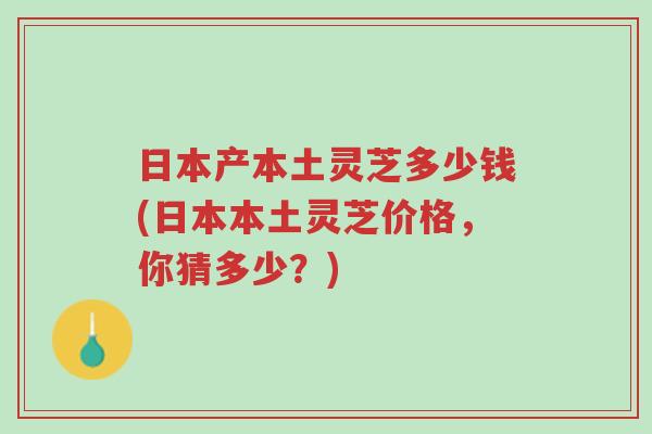 日本产本土灵芝多少钱(日本本土灵芝价格,你猜多少?)-第1张图片-超越 日本产本土灵芝多少钱(日本本土灵芝价格,你猜多少?)-第1张图片-超越