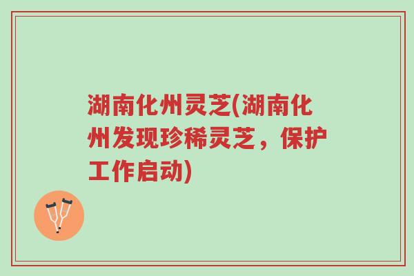 湖南化州灵芝(湖南化州发现珍稀灵芝,保护工作启动)-第1张图片-超越 湖南化州灵芝(湖南化州发现珍稀灵芝,保护工作启动)-第1张图片-超越