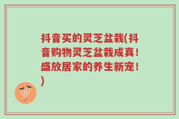 抖音买的灵芝盆栽(抖音购物灵芝盆栽成真!盛放居家的养生新宠!)-第1张图片-超越 抖音买的灵芝盆栽(抖音购物灵芝盆栽成真!盛放居家的养生新宠!)-第1张图片-超越