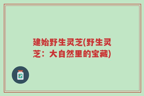 建始野生灵芝(野生灵芝:大自然里的宝藏)-第1张图片-超越 建始野生灵芝(野生灵芝:大自然里的宝藏)-第1张图片-超越