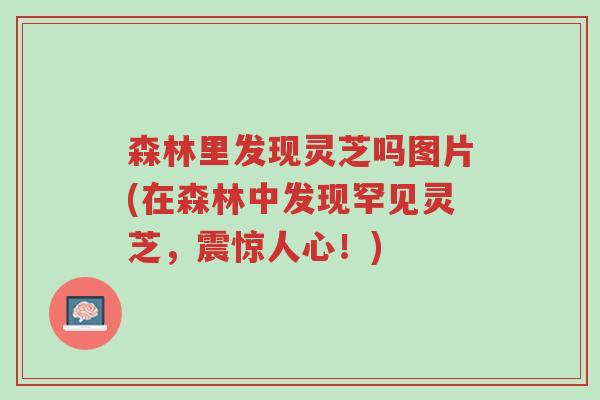 森林里发现灵芝吗图片(在森林中发现罕见灵芝,震惊人心!)-第1张图片-超越 森林里发现灵芝吗图片(在森林中发现罕见灵芝,震惊人心!)-第1张图片-超越