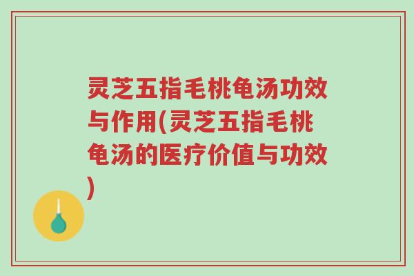 灵芝五指毛桃龟汤功效与作用(灵芝五指毛桃龟汤的医疗价值与功效)-第1张图片-超越 灵芝五指毛桃龟汤功效与作用(灵芝五指毛桃龟汤的医疗价值与功效)-第1张图片-超越
