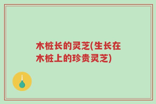 木桩长的灵芝(生长在木桩上的珍贵灵芝)-第1张图片-超越