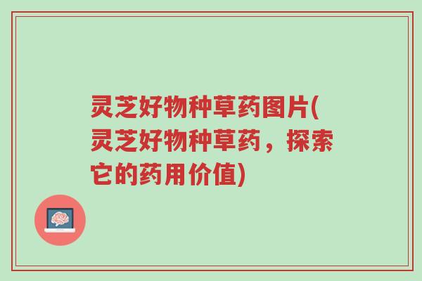 灵芝好物种草药图片(灵芝好物种草药,探索它的药用价值)-第1张图片-超越 灵芝好物种草药图片(灵芝好物种草药,探索它的药用价值)-第1张图片-超越
