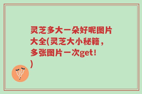 灵芝多大一朵好呢图片大全(灵芝大小秘籍,多张图片一次get!)-第1张图片-超越 灵芝多大一朵好呢图片大全(灵芝大小秘籍,多张图片一次get!)-第1张图片-超越