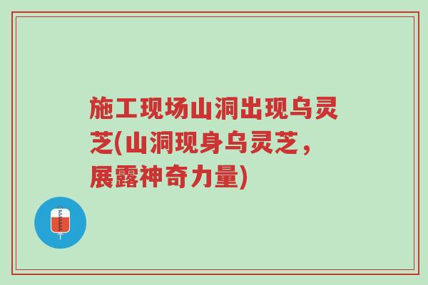 施工现场山洞出现乌灵芝(山洞现身乌灵芝,展露神奇力量)-第1张图片-超越 施工现场山洞出现乌灵芝(山洞现身乌灵芝,展露神奇力量)-第1张图片-超越