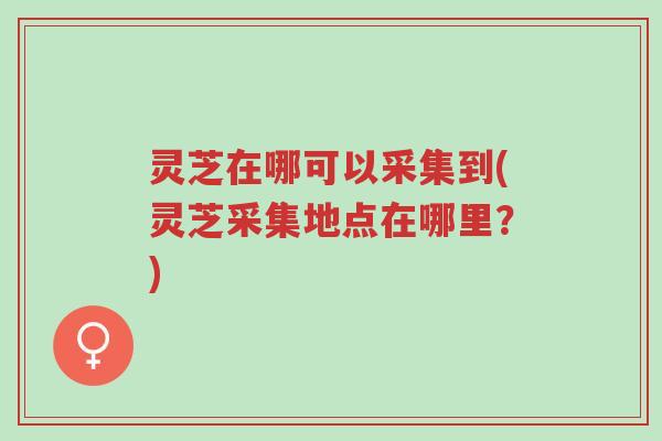 灵芝在哪可以采集到(灵芝采集地点在哪里？)-第1张图片-超越