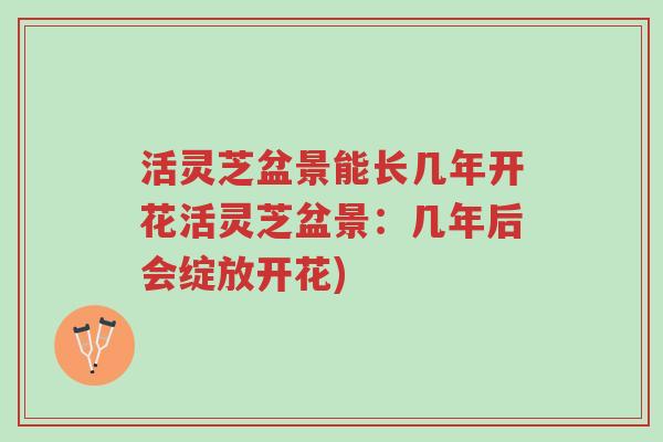 活灵芝盆景能长几年开花活灵芝盆景:几年后会绽放开花)-第1张图片-超越 活灵芝盆景能长几年开花活灵芝盆景:几年后会绽放开花)-第1张图片-超越