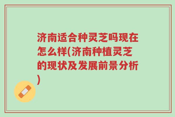 济南适合种灵芝吗现在怎么样(济南种植灵芝的现状及发展前景分析)-第1张图片-超越