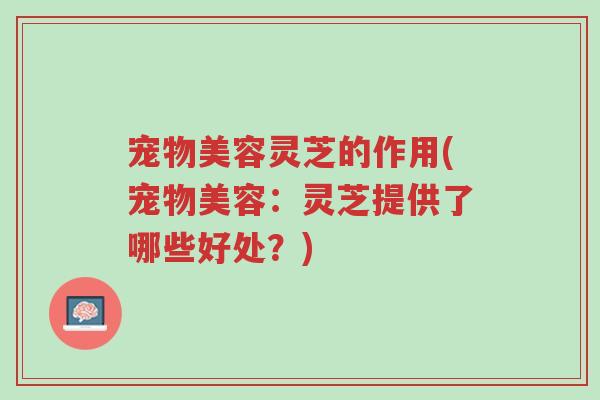 宠物美容灵芝的作用(宠物美容：灵芝提供了哪些好处？)-第1张图片-超越