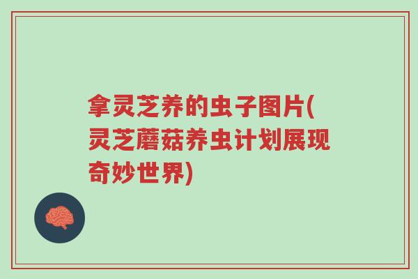 拿灵芝养的虫子图片(灵芝蘑菇养虫计划展现奇妙世界)-第1张图片-超越 拿灵芝养的虫子图片(灵芝蘑菇养虫计划展现奇妙世界)-第1张图片-超越