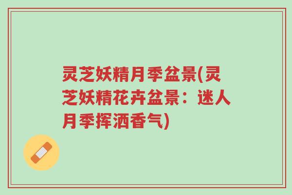 灵芝妖精月季盆景(灵芝妖精花卉盆景:迷人月季挥洒香气)-第1张图片-超越 灵芝妖精月季盆景(灵芝妖精花卉盆景:迷人月季挥洒香气)-第1张图片-超越