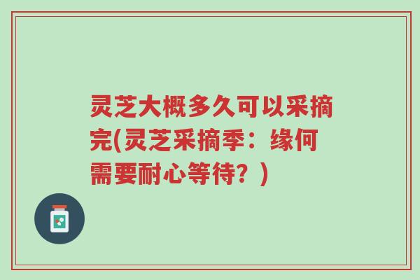 灵芝大概多久可以采摘完(灵芝采摘季:缘何需要耐心等待?)-第1张图片-超越 灵芝大概多久可以采摘完(灵芝采摘季:缘何需要耐心等待?)-第1张图片-超越