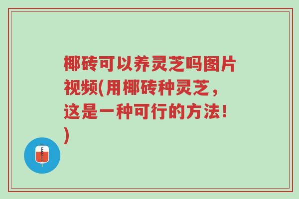 椰砖可以养灵芝吗图片视频(用椰砖种灵芝,这是一种可行的方法!)-第1张图片-超越 椰砖可以养灵芝吗图片视频(用椰砖种灵芝,这是一种可行的方法!)-第1张图片-超越