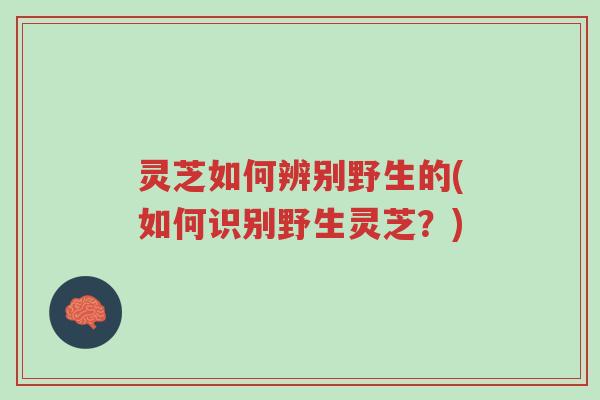灵芝如何辨别野生的(如何识别野生灵芝?)-第1张图片-超越 灵芝如何辨别野生的(如何识别野生灵芝?)-第1张图片-超越