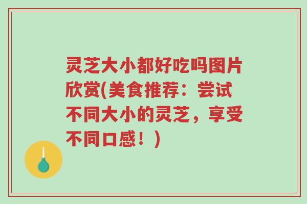 灵芝大小都好吃吗图片欣赏(美食推荐:尝试不同大小的灵芝,享受不同口感!)-第1张图片-超越 灵芝大小都好吃吗图片欣赏(美食推荐:尝试不同大小的灵芝,享受不同口感!)-第1张图片-超越