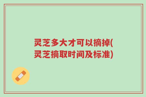 灵芝多大才可以摘掉(灵芝摘取时间及标准)-第1张图片-超越 灵芝多大才可以摘掉(灵芝摘取时间及标准)-第1张图片-超越