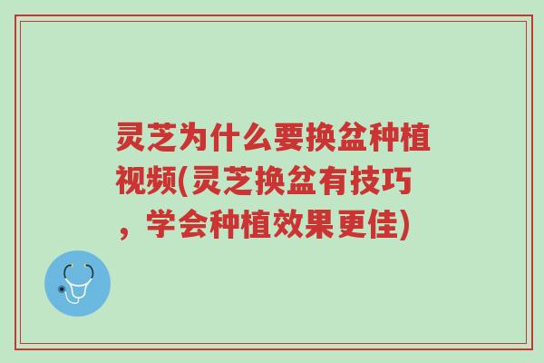 灵芝为什么要换盆种植视频(灵芝换盆有技巧,学会种植效果更佳)-第1张图片-超越 灵芝为什么要换盆种植视频(灵芝换盆有技巧,学会种植效果更佳)-第1张图片-超越