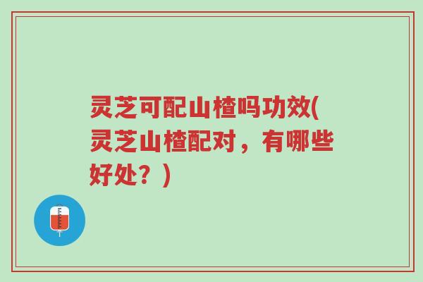 灵芝可配山楂吗功效(灵芝山楂配对，有哪些好处？)-第1张图片-超越