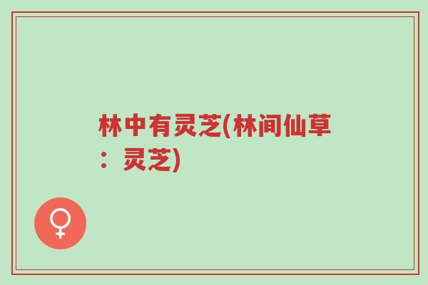林中有灵芝(林间仙草:灵芝)-第1张图片-超越 林中有灵芝(林间仙草:灵芝)-第1张图片-超越