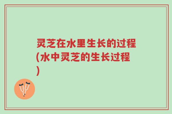 灵芝在水里生长的过程(水中灵芝的生长过程)-第1张图片-超越 灵芝在水里生长的过程(水中灵芝的生长过程)-第1张图片-超越
