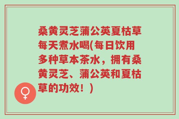 桑黄灵芝蒲公英夏枯草每天煮水喝(每日饮用多种草本茶水，拥有桑黄灵芝、蒲公英和夏枯草的功效！)-第1张图片-超越