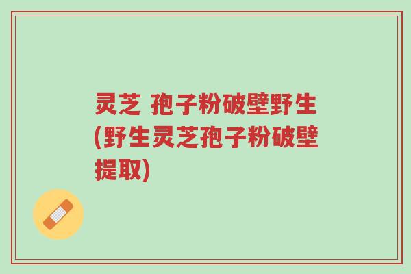 灵芝 孢子粉破壁野生(野生灵芝孢子粉破壁提取)-第1张图片-超越