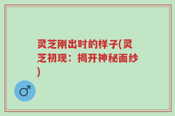 灵芝刚出时的样子(灵芝初现：揭开神秘面纱)-第1张图片-超越