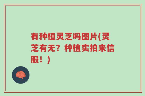 有种植灵芝吗图片(灵芝有无?种植实拍来信服!)-第1张图片-超越 有种植灵芝吗图片(灵芝有无?种植实拍来信服!)-第1张图片-超越