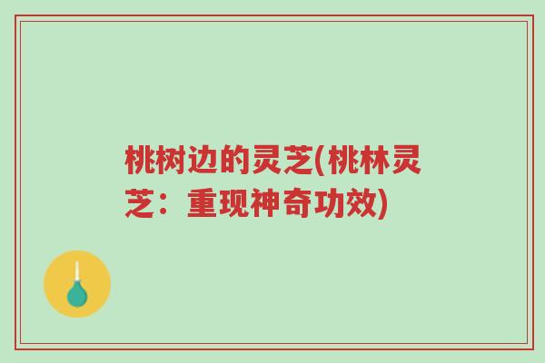 桃树边的灵芝(桃林灵芝:重现神奇功效)-第1张图片-超越 桃树边的灵芝(桃林灵芝:重现神奇功效)-第1张图片-超越