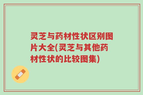 灵芝与药材性状区别图片大全(灵芝与其他药材性状的比较图集)-第1张图片-超越 灵芝与药材性状区别图片大全(灵芝与其他药材性状的比较图集)-第1张图片-超越